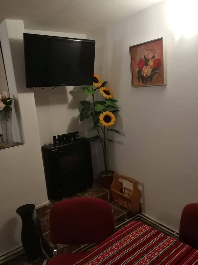 Pensiunea Mir Μπραν Εξωτερικό φωτογραφία